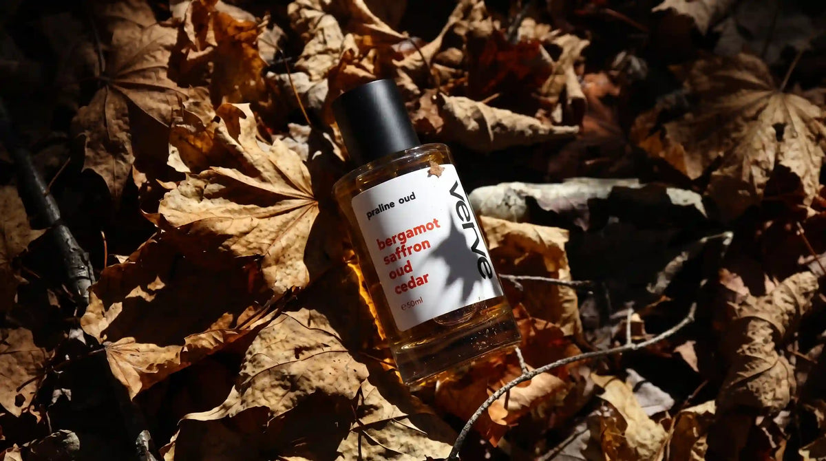 7 Warm Amber & Spicy Oud Fragrances Perfect for British Autumn